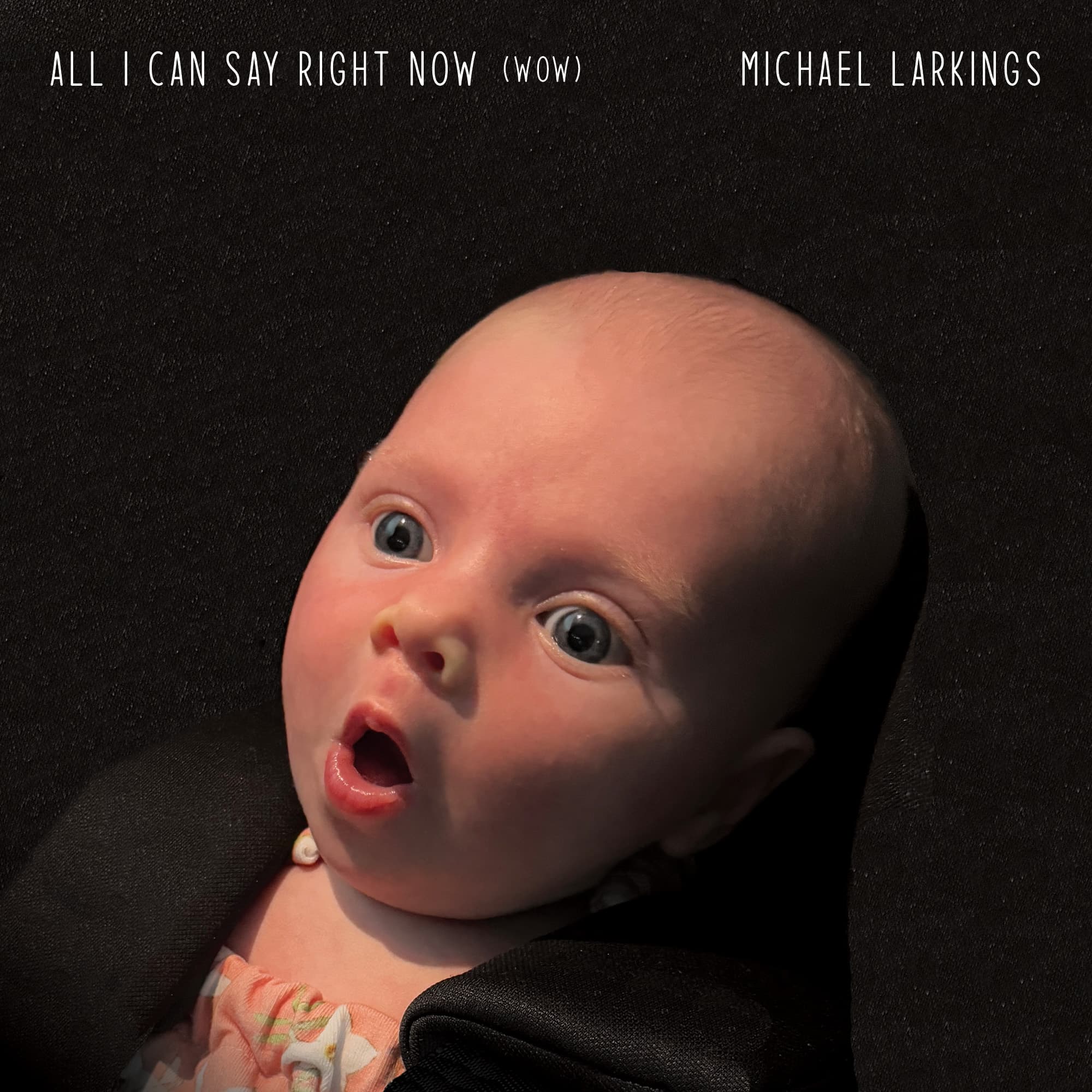 All I Can Say Right Now artwork