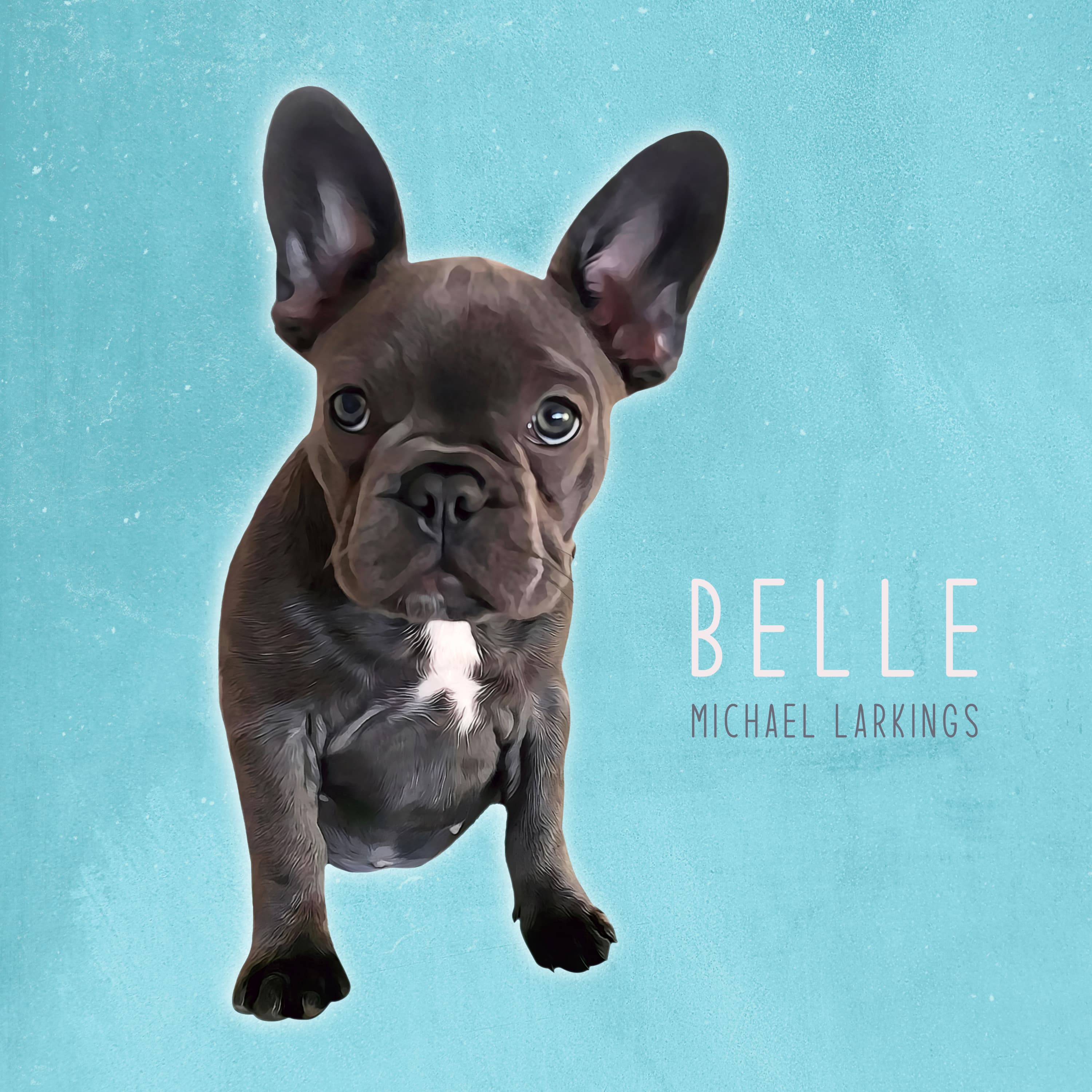 Belle artwork