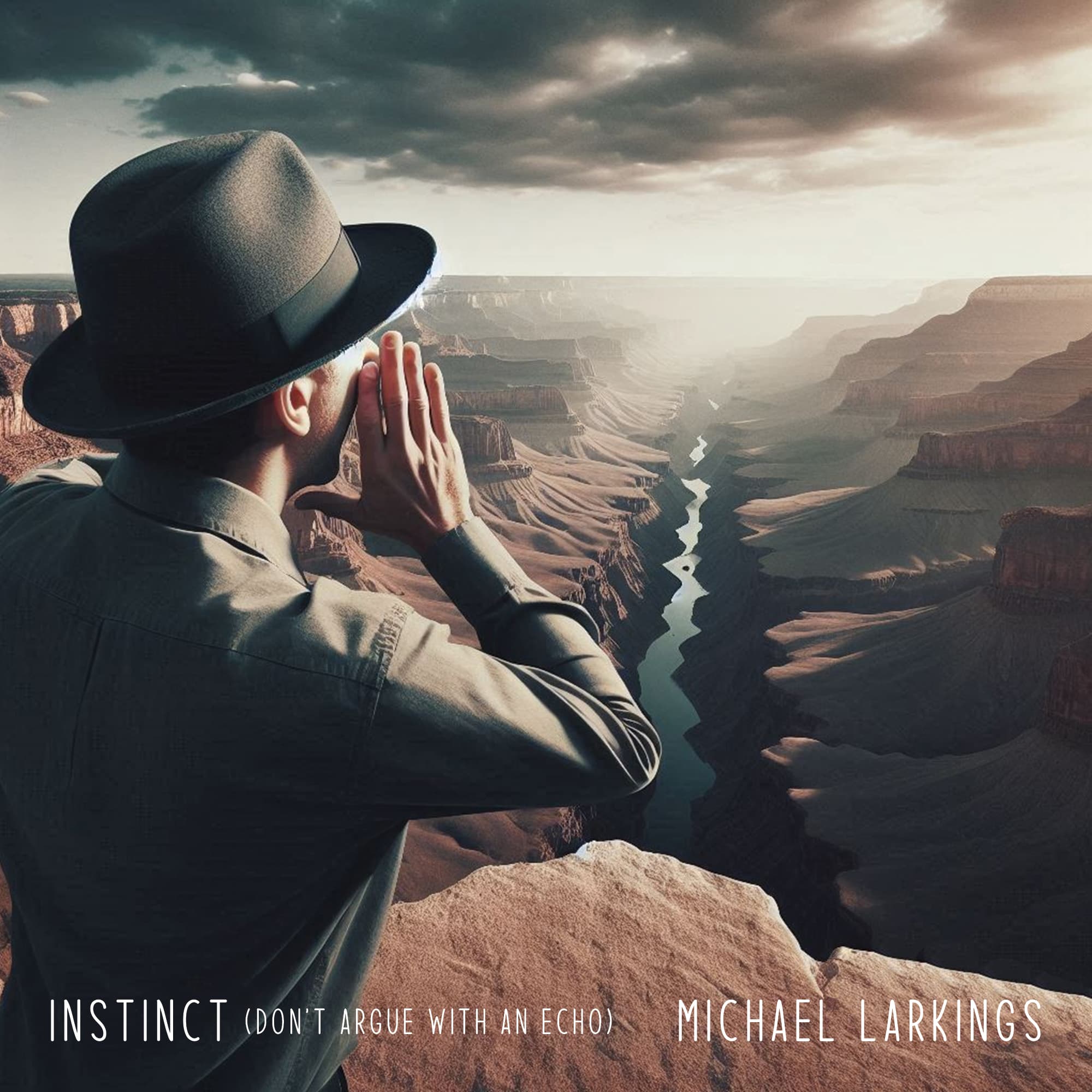 Instinct (Don’t Argue With An Echo) artwork