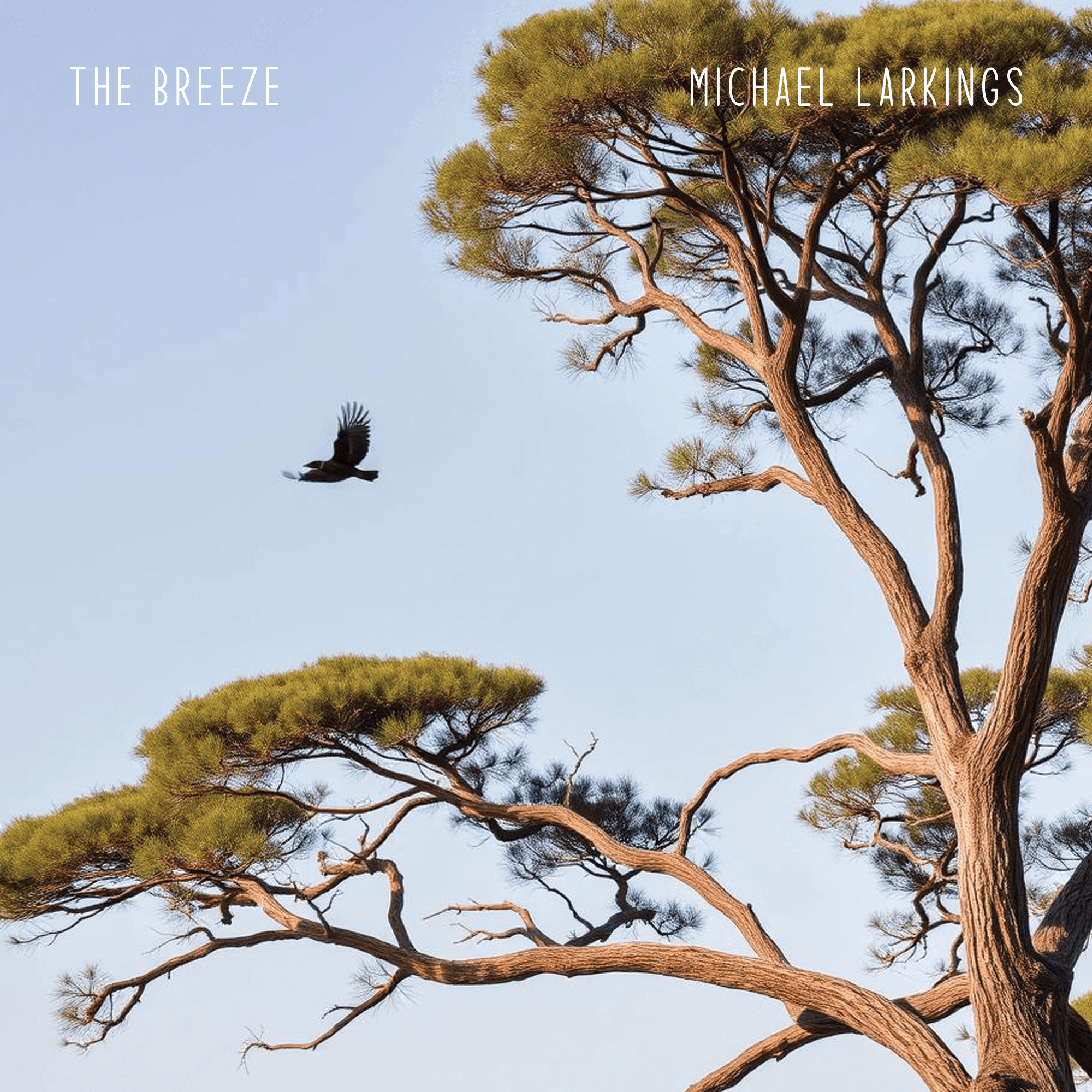 The Breeze artwork